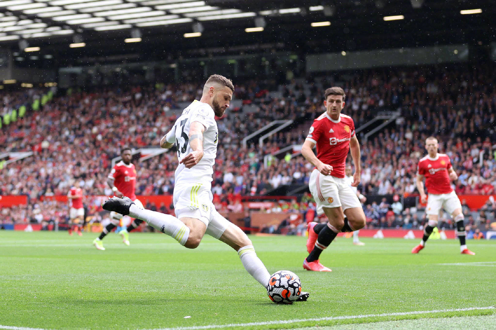 它的名字灵 它的名字灵